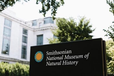 Smithsonian Natural History + Museum of American History 8ppl Max - Natural Museum of Natural History: Fossils, the Hope Diamond, and Henry the Elephant