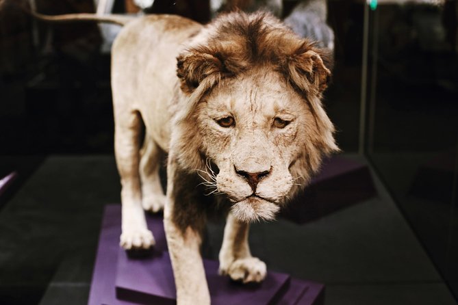 Smithsonian Natural History + Museum of American History 8ppl Max - What to Bring (and What Security Will Expect)