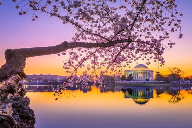 The DC Cherry Blossom Bus Tour with Tidal Basin Guided Walk - Setting out from the US Navy Memorial Plaza