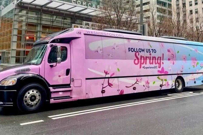 The DC Cherry Blossom Bus Tour with Tidal Basin Guided Walk - White House outside viewing and what you can realistically expect