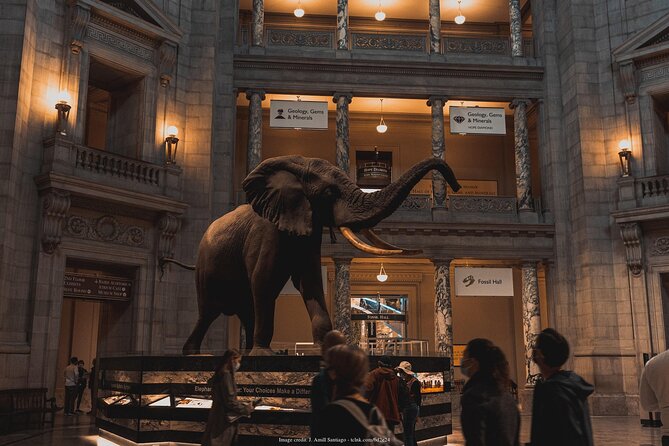 Two Smithsonian Museums Private Tour: American & Natural History - Two museums in one outing: why this combo works