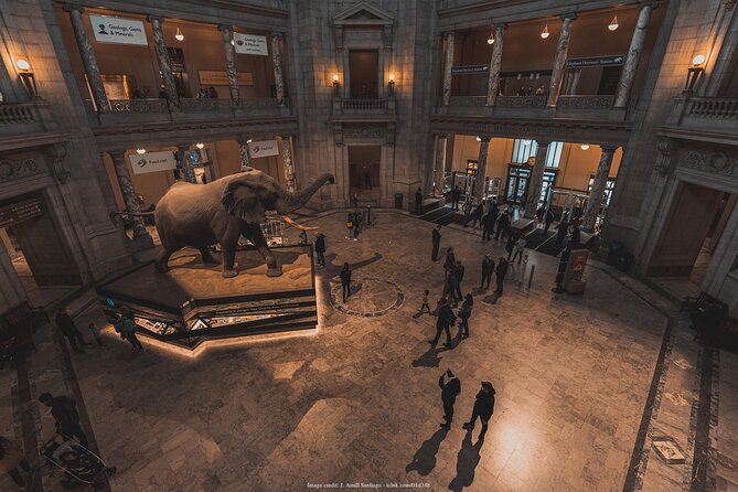 Two Smithsonian Museums Private Tour: American & Natural History - Natural History Museum: Hope Diamond, T-Rex, and the ocean scale-jolt