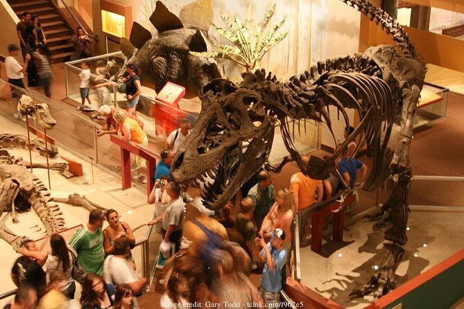 Two Smithsonian Museums Private Tour: American & Natural History - Timing and pace: how to avoid feeling rushed