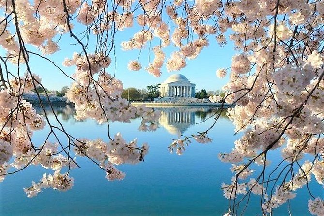 Ultimate Private City Tour of Washington DC - Up to 5 Guests - National Mall monuments and memorials: your 4-hour route builder