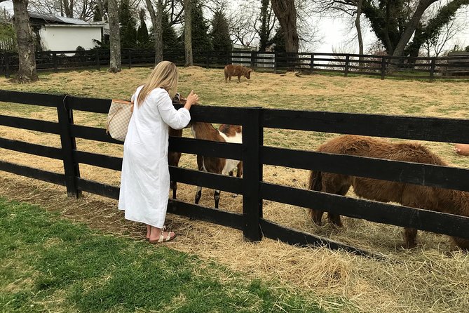 Virginia Wineries Guided Tour and Tastings from Washington DC - Key things to know before you go