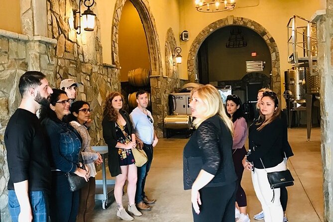 Virginia Wineries Guided Tour and Tastings from Washington DC - Why a DC Winery Tour Feels Easier Than Driving Yourself