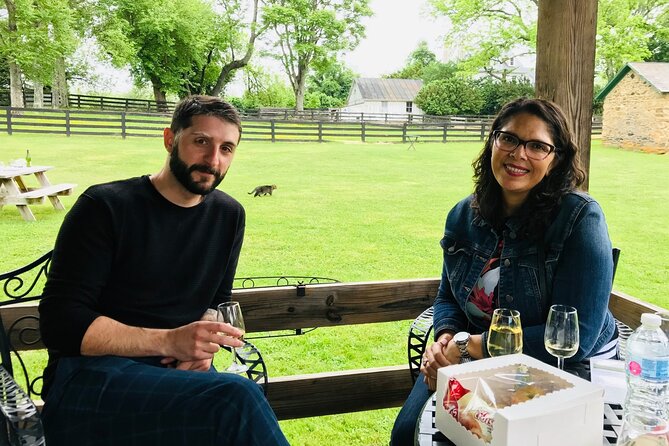 Virginia Wineries Guided Tour and Tastings from Washington DC - Timing, Weather, and the Realities That Affect Day Trips