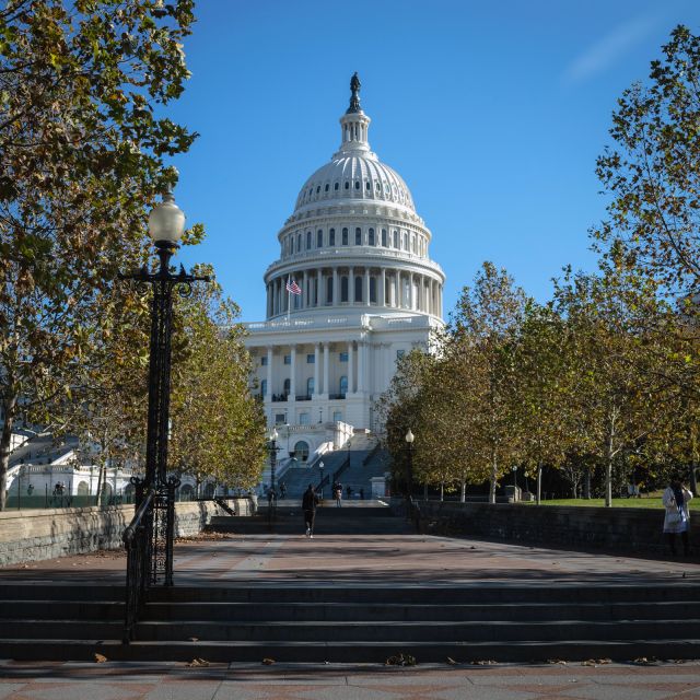 Washington: Cherry Blossom Tour - The Missing-Memorial Gap (and Why That’s Not a Dealbreaker)