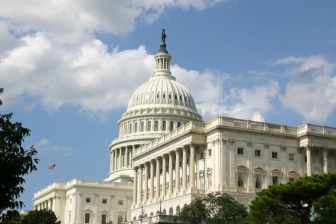 Washington DC 3-Hour Express Sightseeing Monuments Tour - Night-time option: when the monuments look their best