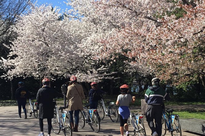 Washington DC Cherry Blossoms By Bike Tour - Bike fitting, helmets, and the ride’s real “difficulty level”