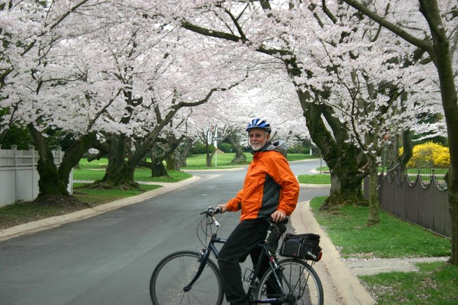 Washington DC Cherry Blossoms By Bike Tour - Who this tour fits best (and who should rethink it)