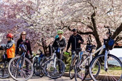 Washington DC Cherry Blossoms By Bike Tour - The $65 value: what you get for two hours