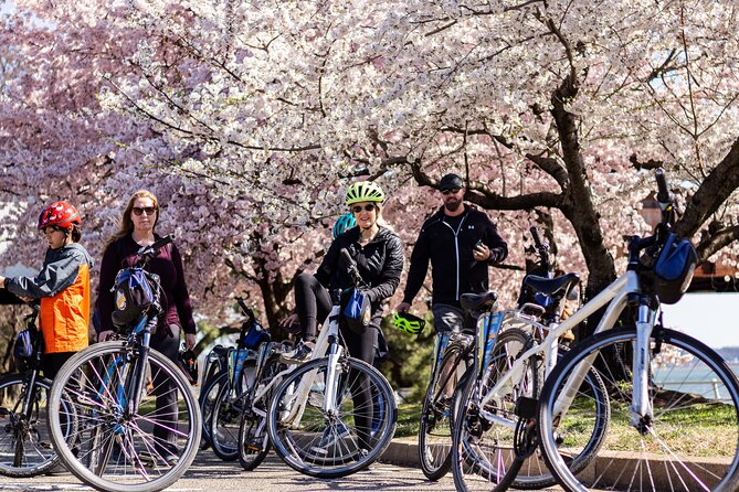 Washington DC Cherry Blossoms By Bike Tour - The $65 value: what you get for two hours