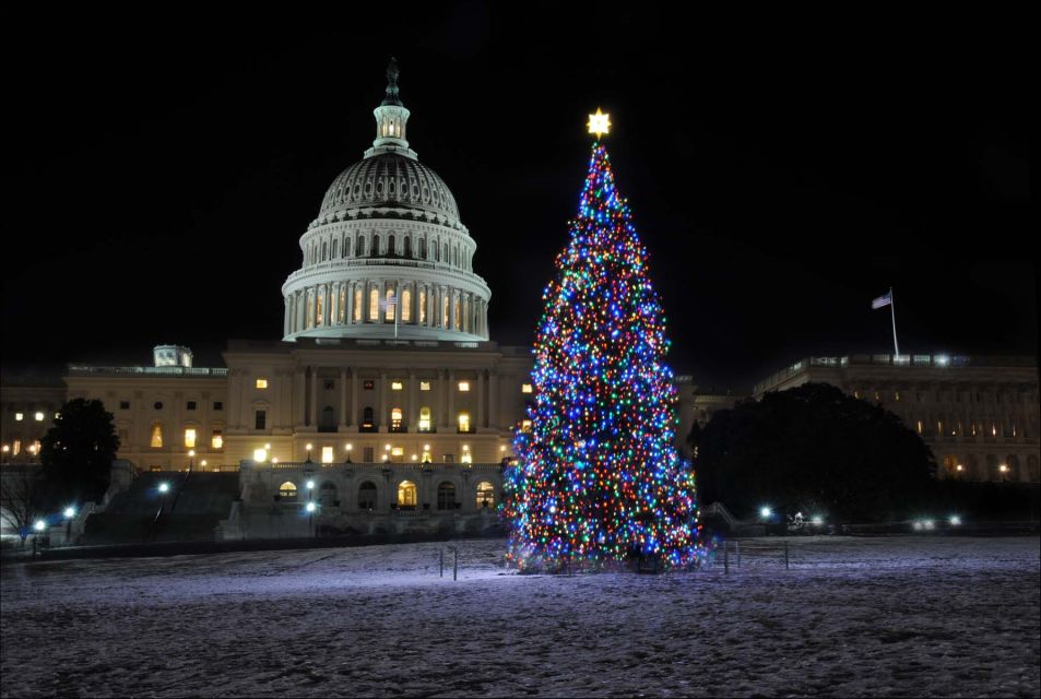 Washington, DC: Holiday Lights Nighttime Bus Tour - First Photo Stops and the White House Christmas Tree Area