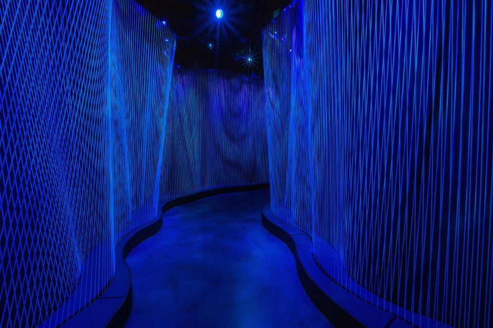 Washington DC: Museum of the Bible General Admission - Washington Revelations Flight Simulator Upgrade: Worth It or Skip?