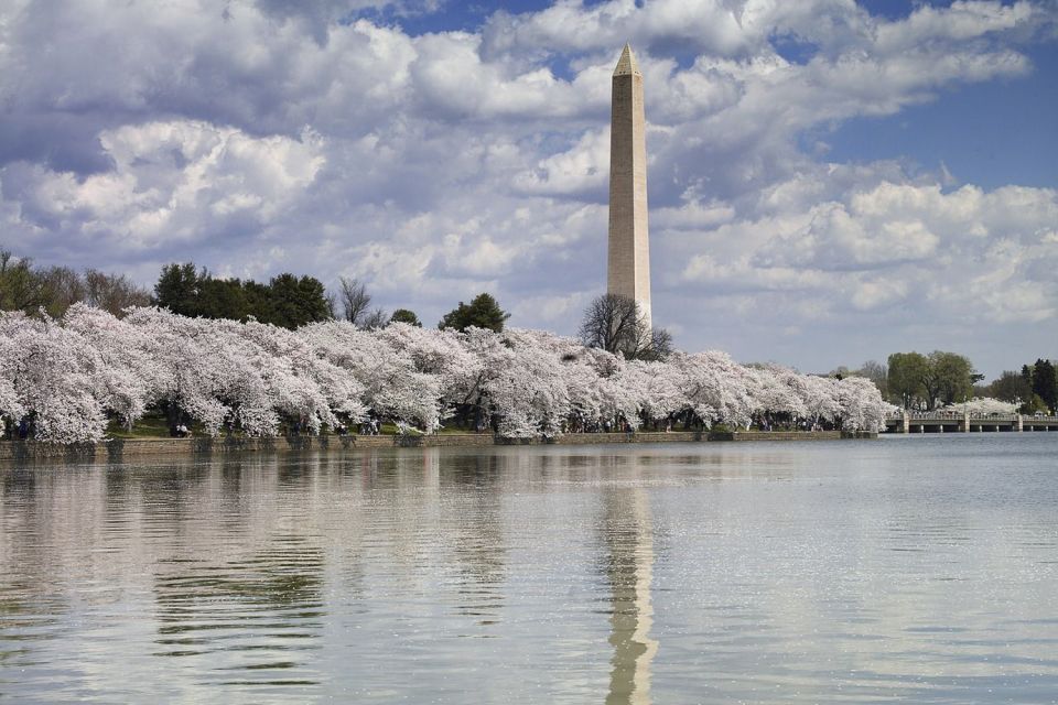 Washington DC: Must See Sights Half-Day Tour - Getting started: the exact meet-up and how to show up ready