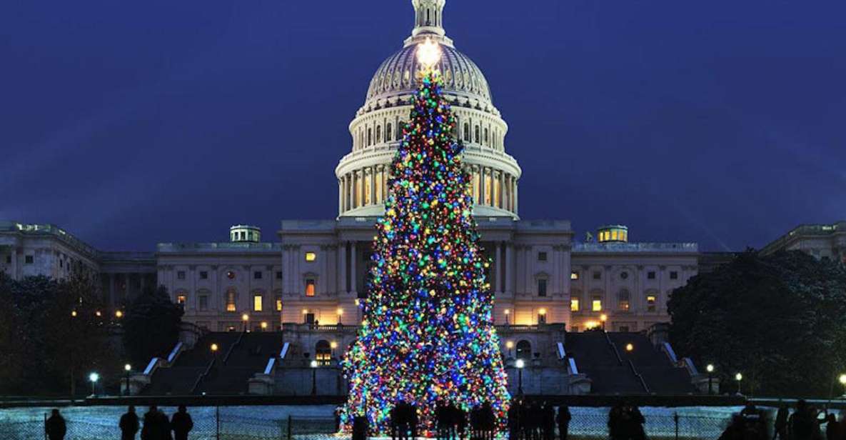 Washington, DC: National Mall and Memorials Moonlight Tour - Why the National Mall at night feels different