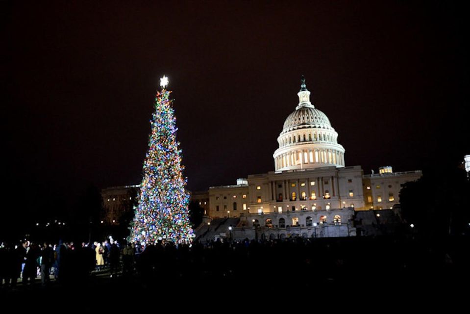 Washington, DC: National Mall and Memorials Moonlight Tour - Meeting point and start time: your one job