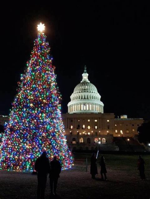 Washington, DC: National Mall and Memorials Moonlight Tour - How the guide commentary shapes the whole evening