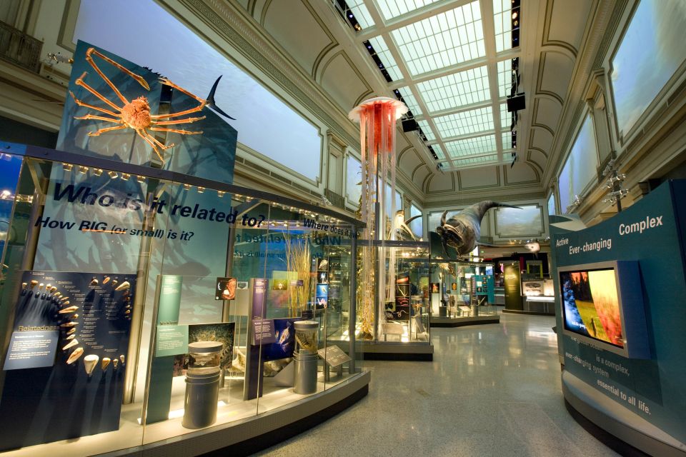 Washington DC: National Museum of Natural History Tour - Small-group guidance: how it turns into your tour