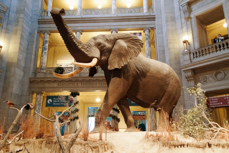 Washington DC: National Museum of Natural History Tour - Hope Diamond and the jewel cluster: big sparkle with good context