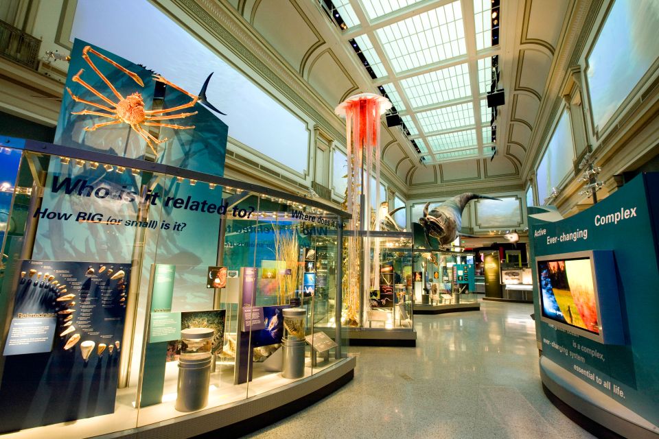 Washington DC: National Museum of Natural History Tour - Ocean Hall coral reef: sea life without a plane ticket
