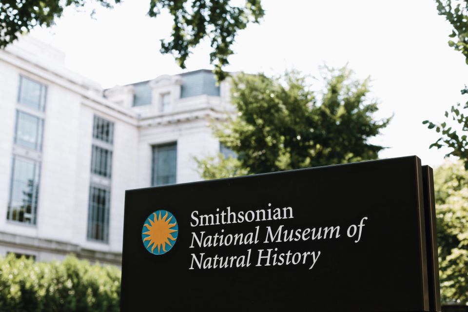 Washington DC: National Museum of Natural History Tour - How the walk actually feels inside a giant museum