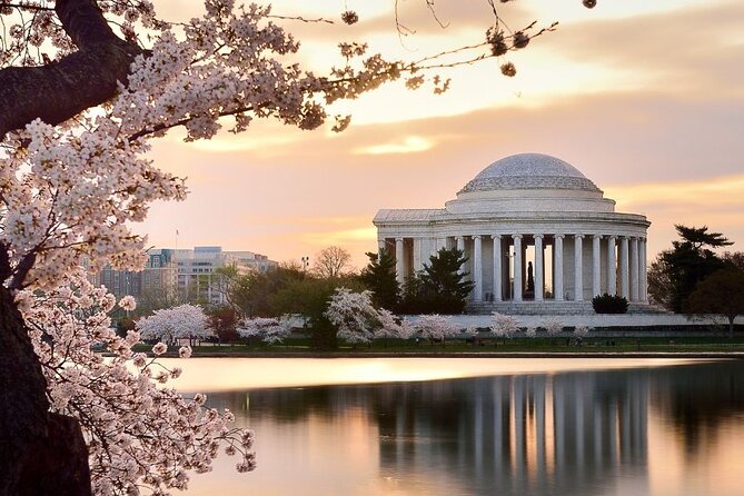 Washington : Private Custom Walking Tour With A Guide (Private) - A Route That Matches Your Priorities, Not a One-Size Plan